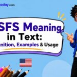 BSFS Meaning in Text_ Definition, Examples & Usage