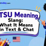 STSU Meaning Slang_ What It Means in Text & Chat