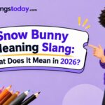 Snow Bunny Meaning Slang What Does It Mean in 2026