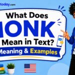 What Does IONK Mean in Text_ Meaning & Examples