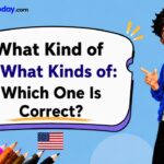 _What Kind of vs What Kinds of_ Which One Is Correct_
