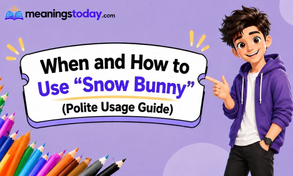 _When and How to Use Snow Bunny (Polite Usage Guide)