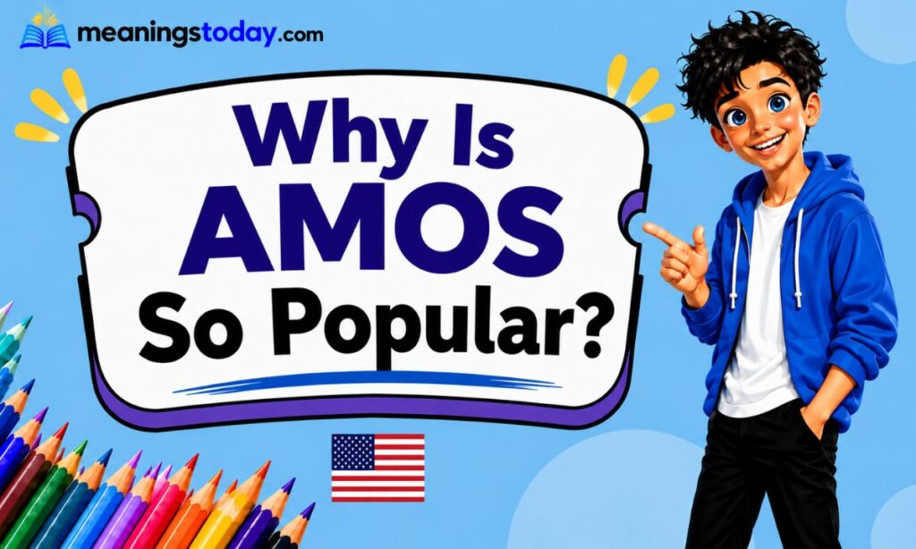 Why Is AMOS So Popular