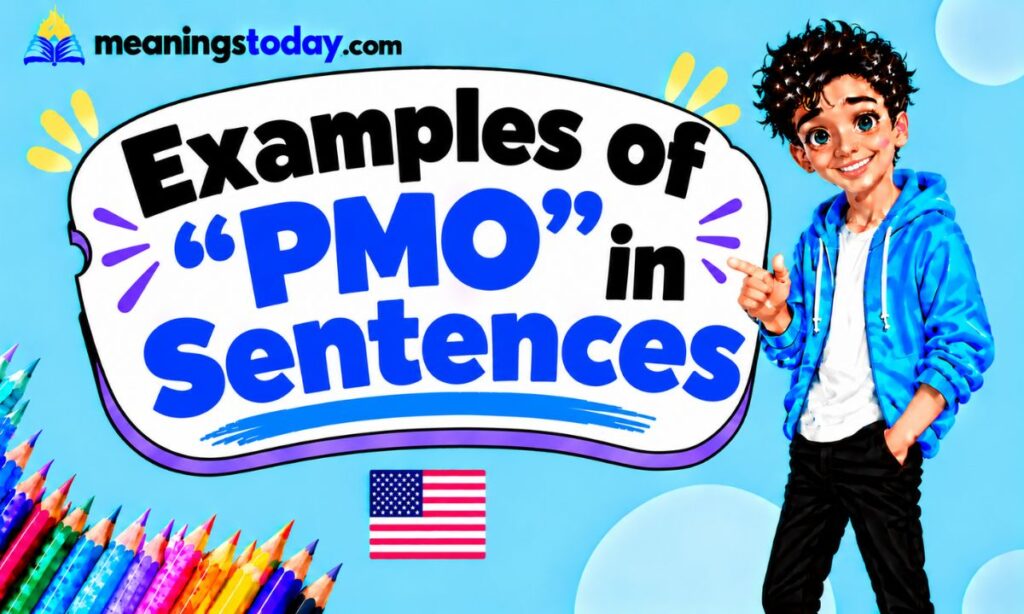 Examples of “PMO” in Sentences