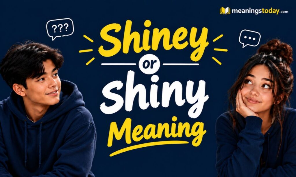 Shiney or shiny Meaning