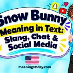 Snow Bunny Meaning in Text_ Slang, Chat & Social Media