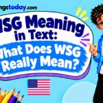 _WSG Meaning in Text What Does WSG Really Mean