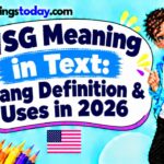 WSG Meaning in Text_ Slang Definition & Uses in 2026