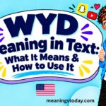 WYD Meaning in Text_ What It Means & How to Use It