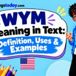 _WYM Meaning in Text Definition, Uses & Examples
