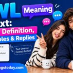 AWL Meaning in Text_ Slang Definition, Examples & Replies ,,