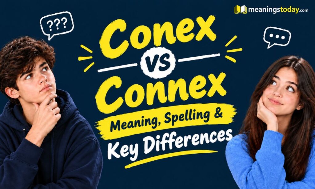Conex vs Connex_ Meaning, Spelling & Key Differences