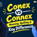 Conex vs Connex_ Meaning, Spelling & Key Differences