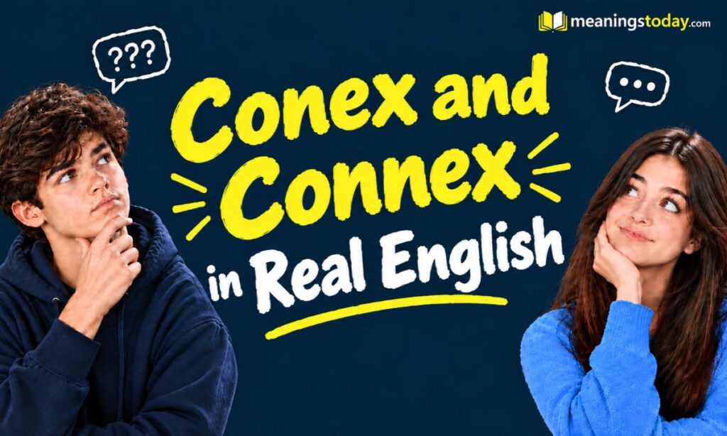 Conex vs. Connex for Quick Summary