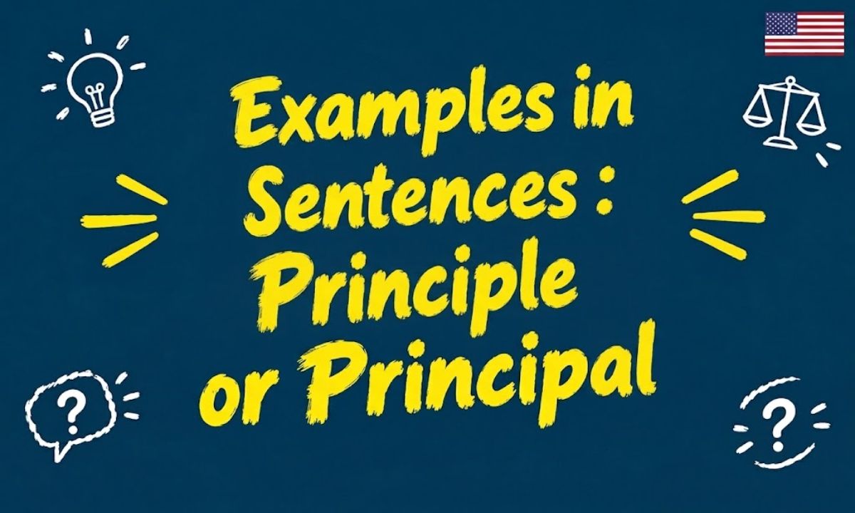 Qan Example Principal vs Principle: Meaning, Difference & Examples
