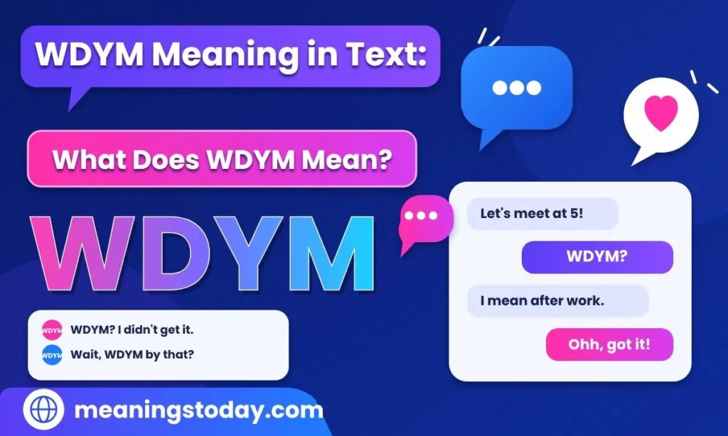 _WDYM Meaning in Text_ What Does WDYM Mean_ Examples