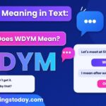 _WDYM Meaning in Text_ What Does WDYM Mean_ Examples