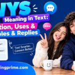WYS Meaning in Text_ Definition, Uses, Examples & Replies