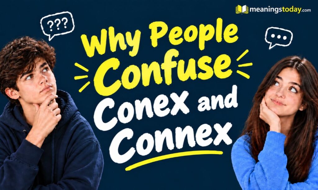 Why People Confuse Conex and Connex